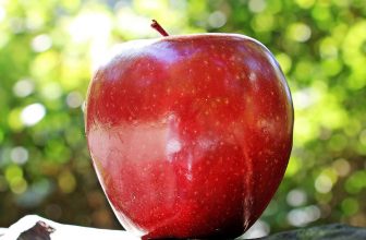 STARTERS - Cùng học cách miêu tả trái táo (apple) nào các bé