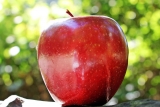 STARTERS – Cùng học cách miêu tả trái táo (apple) nào các bé
