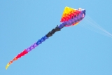 STARTERS – “The monster is flying a kite” | 7 câu miêu tả